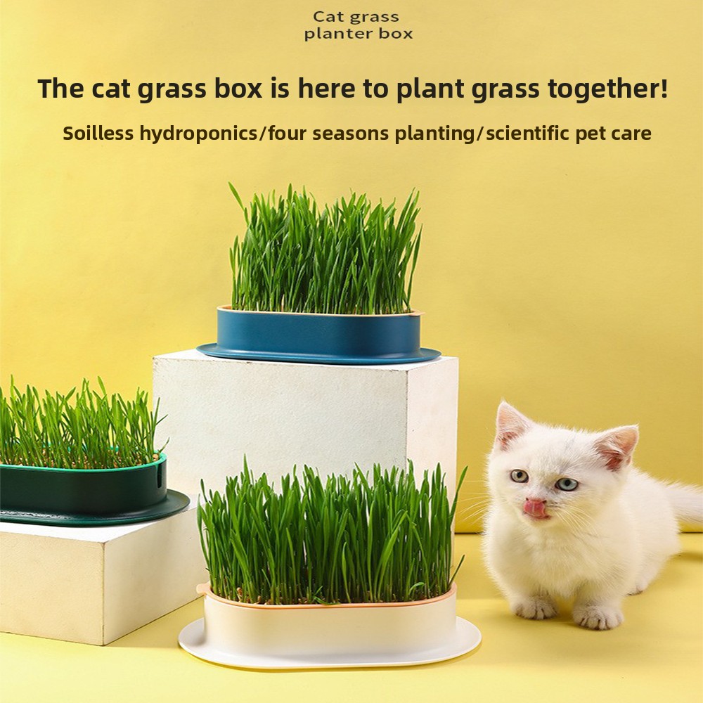 ペット用品 猫のおやつ 猫植え付け 水耕ボックス 猫草ポット - Hydroponic Grow Pod のレビューと価格