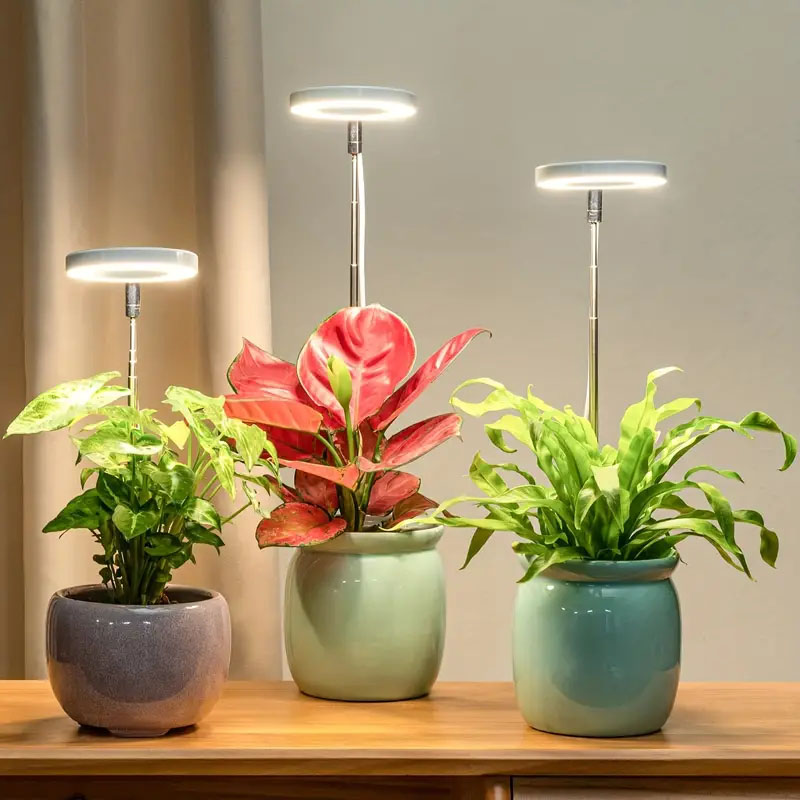 LED 成長ライト フルスペクトル植物ランプ 調節可能な調光 - Indoor Garden Kit のレビューと価格
