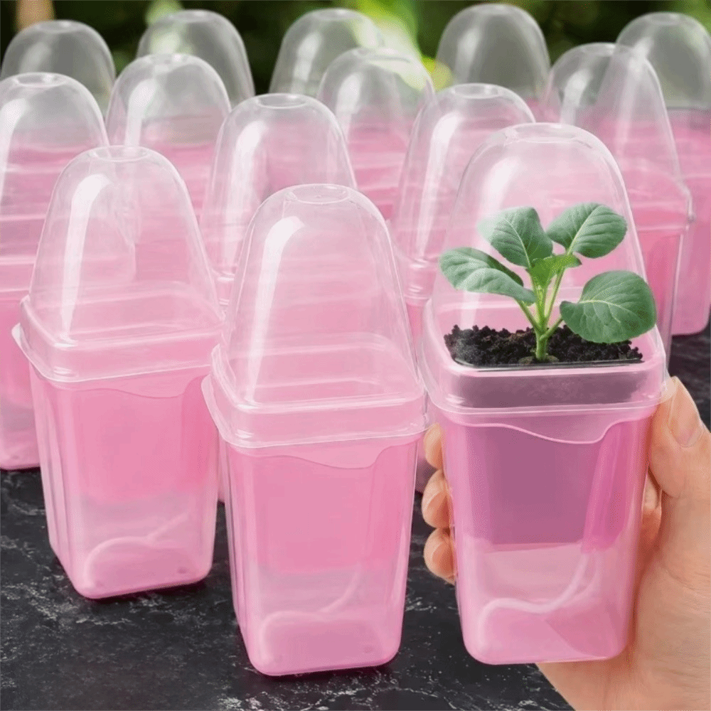 プラスチック製自動給水植木鉢 二層構造 根元が見える透明な植 - Hydroponic Grow Pod のレビューと価格