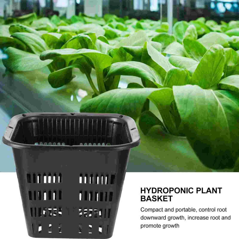 6個入り水耕栽培用バスケット、プラスチックメッシュネットポッ - Hydroponic Grow Pod のレビューと価格