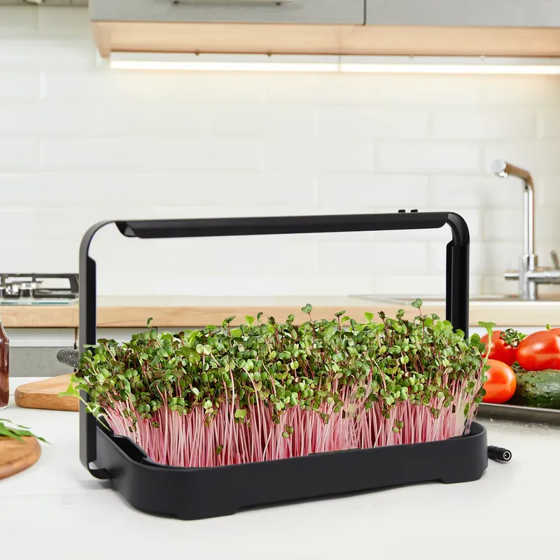 水耕栽培トレイ 室内マイクログリーン マイクログリーン種子  - Smart Garden System のレビューと価格